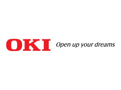 OKI 44848805 Fixiereinheit 100000 Seiten
