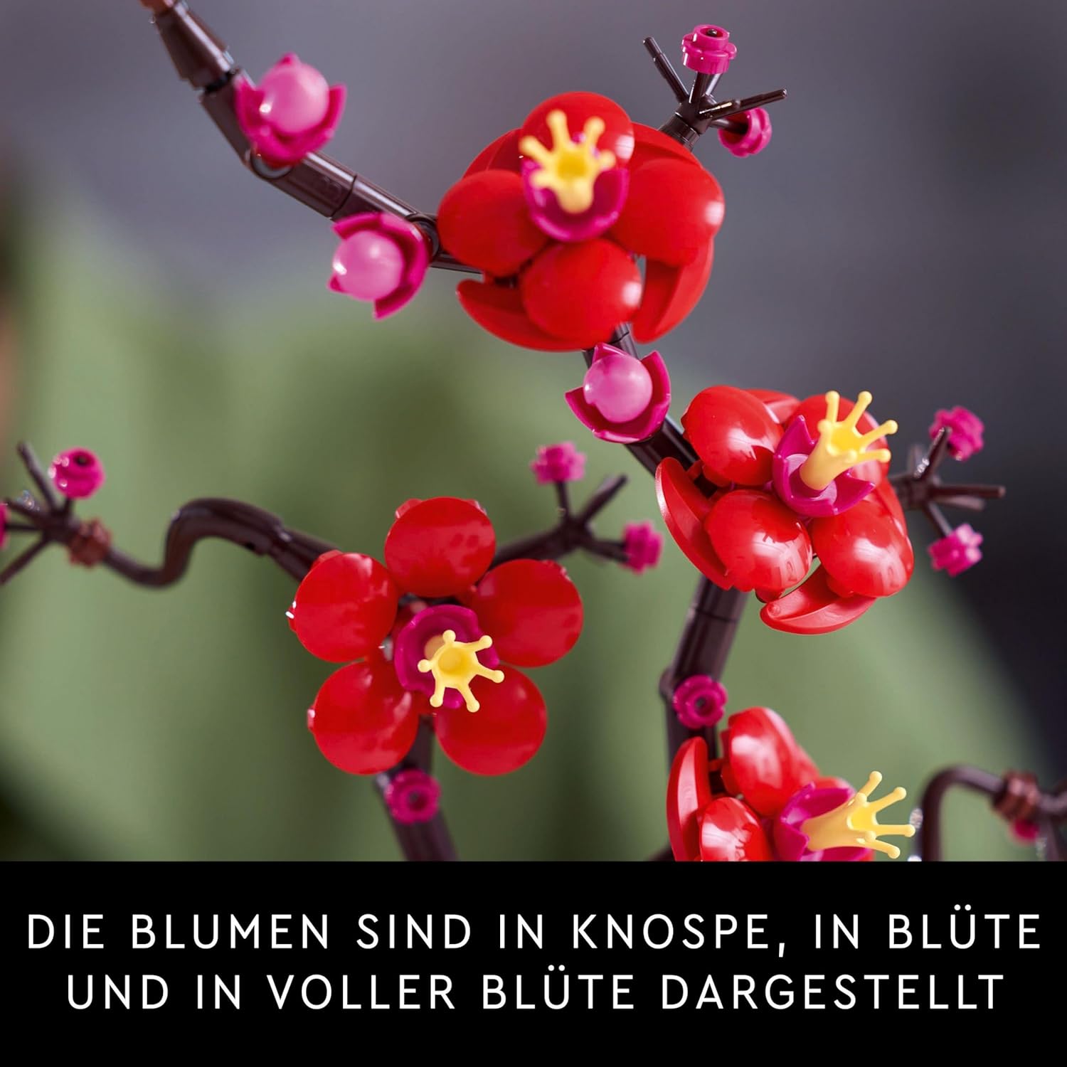 LEGO Botanicals Pflaumenblüte - Pflegeleichte Blumendeko aus der Botanik Kollektion - Kreatives Bauset für Erwachsene - Entspannende Aktivität - Künstliche Pflanze zum Sammeln 10369
