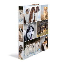 HERMA Ringbuch A4 Hunde  4D