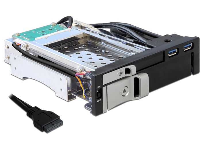 Delock 5.25" Wechselrahmen für 1 x 2.5" + 1 x 3.5" SATA HDD + 2 x USB 3.0 Ports