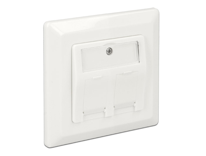 DELOCK Keystone Anschlussdose 2-Port