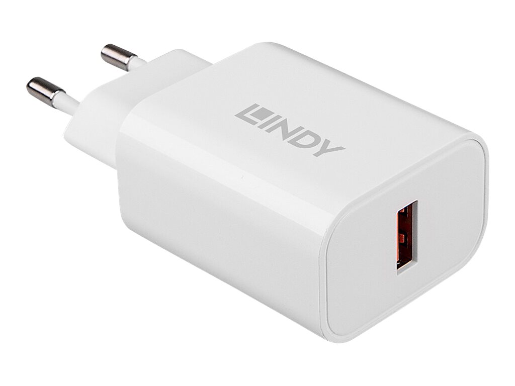 Lindy 73412 Ladegerät für Mobilgeräte Smartphone, Tablets Weiß AC Schnellladung Drinnen, Draußen