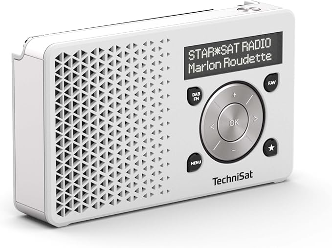 Technisat DigitRadio 1 silber