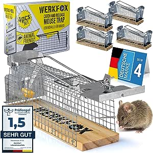 Werkfox® Lebendfalle Mäusefalle Tiefreundliche Falle Lebendmäusefalle; Humane Mäuse-Fang-Methode; Wiederverwendbar & Sicher (4 Stück)