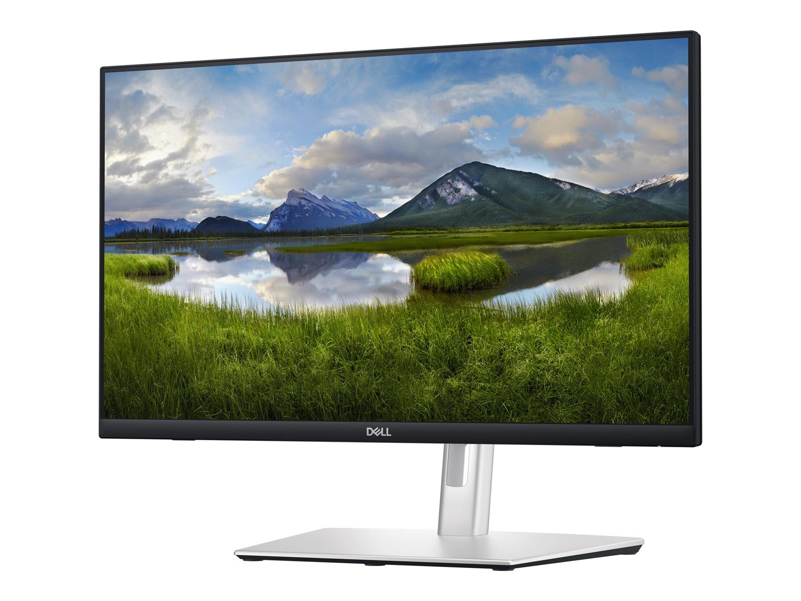 DELL P Series P2424HT Computerbildschirm 60,5 cm (23.8") 1920 x 1080 Pixel Full HD LCD Touchscreen Schwarz, Silber