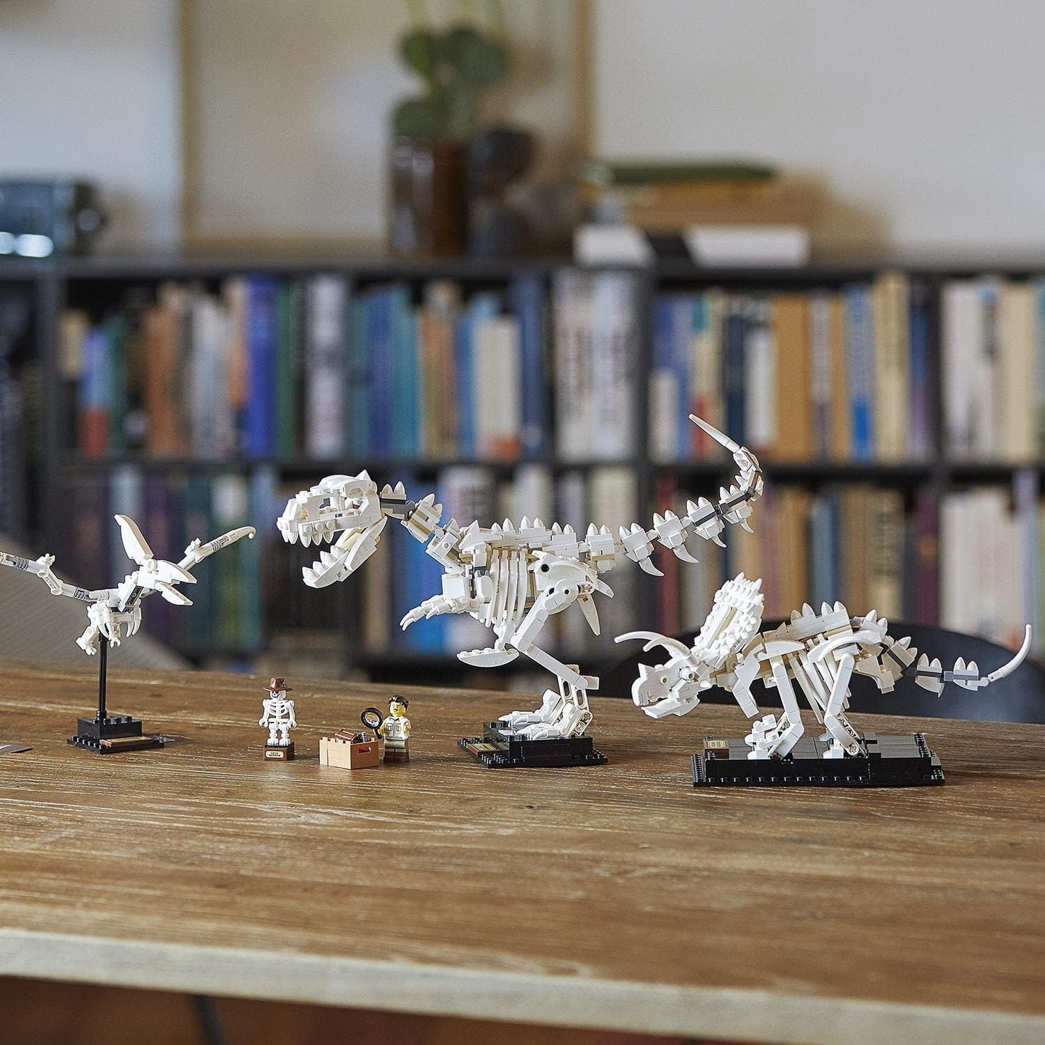 21320 LEGO Ideas - Dinosaurier-Fossilien 21320 LEGO Ideas - Dinosaurier-Fossilien