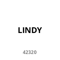 Lindy 2 Port Type C DisplayPort 1.2 KVM Switch