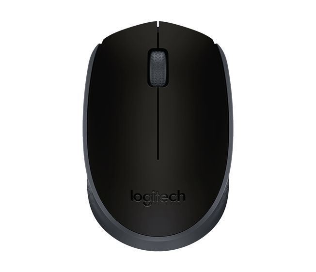 Logitech M170