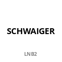 Schwaiger Twin LNB Grau
