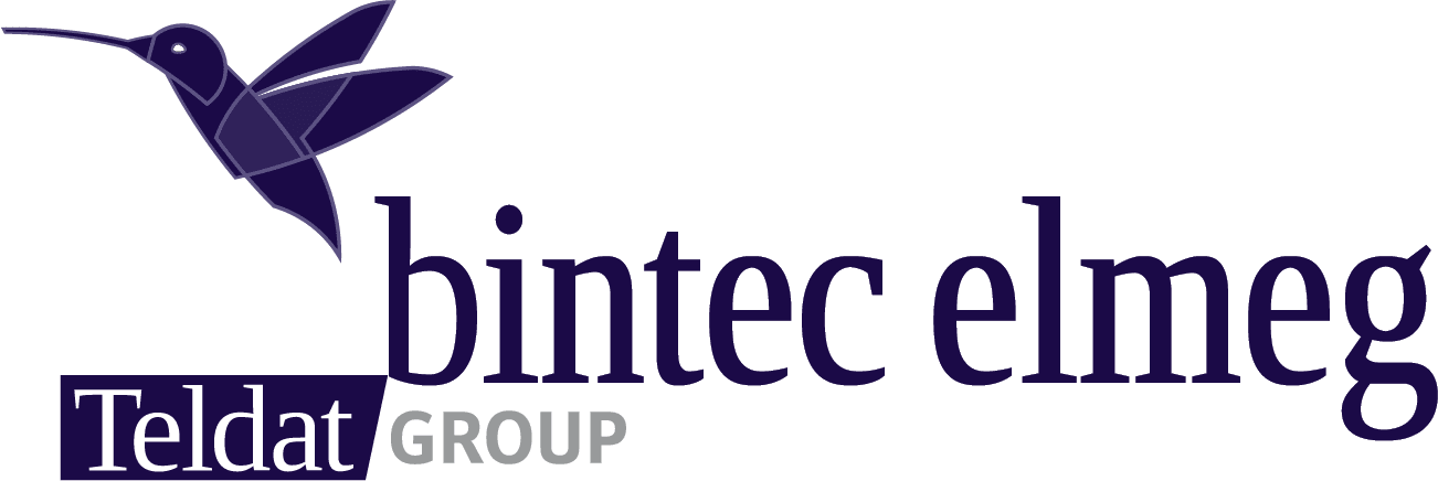 bintec elmeg
