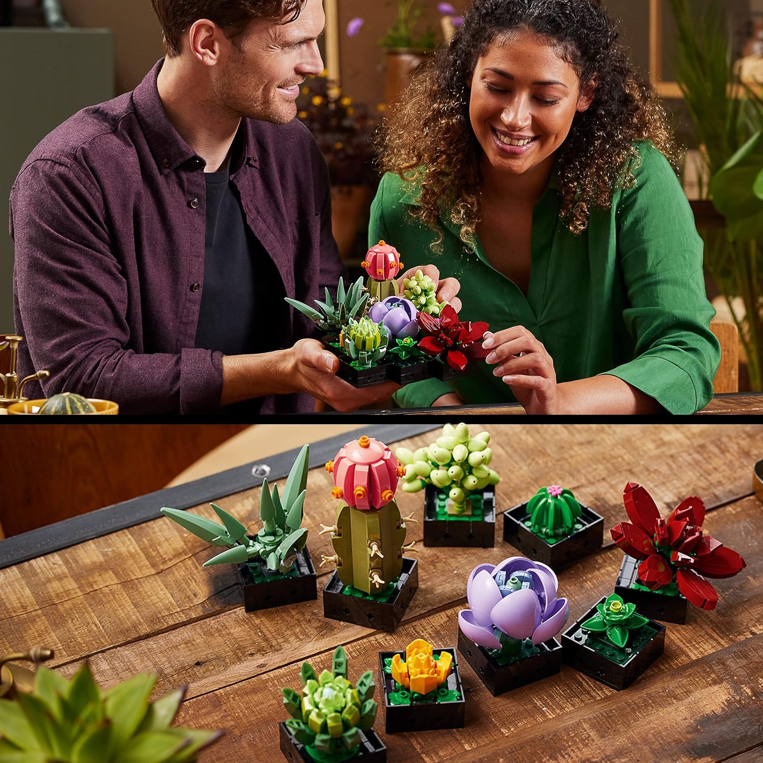 LEGO Botanicals Sukkulenten - Künstliche Blumen Set für Erwachsene - Blumenstrauß Bauset - Kreatives Hobby und Home Deko - Geschenkidee für Frauen & Männer - Botanik Kollektion (9 Pflanzen) 10309 LEGO Botanicals Sukkulenten - Künstliche Blumen Set für Erwachsene - Blumenstrauß Bauset - Kreatives Hobby und Home Deko - Geschenkidee für Frauen & Männer - Botanik Kollektion (9 Pflanzen) 10309
