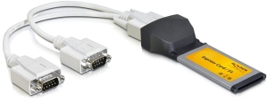DeLOCK Express Card to 2 x serial Schnittstellenkarte/Adapter