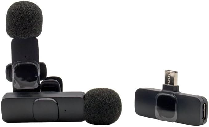 RealPower HS-1,Wireless Microphone,2 Mikrofone,1 Empfänger