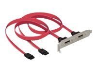 DeLOCK Slotbracket 2x internal SATA > 2x eSATA external SATA-Kabel 2 x SATA 7-pin