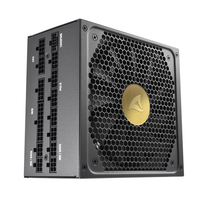 Sharkoon Rebel P30 Gold Netzteil 1300 W 20+4 pin ATX ATX Schwarz