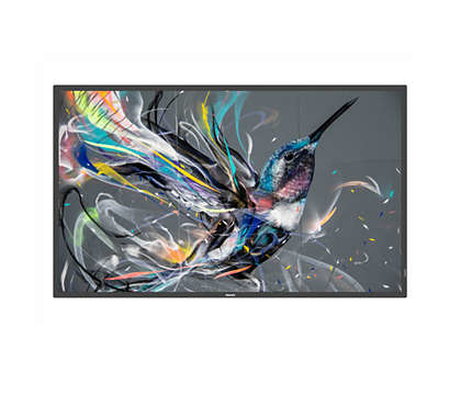 Philips 50BDL3550Q - 125.7 cm (50") Diagonalklasse (125.7 cm (49.5")