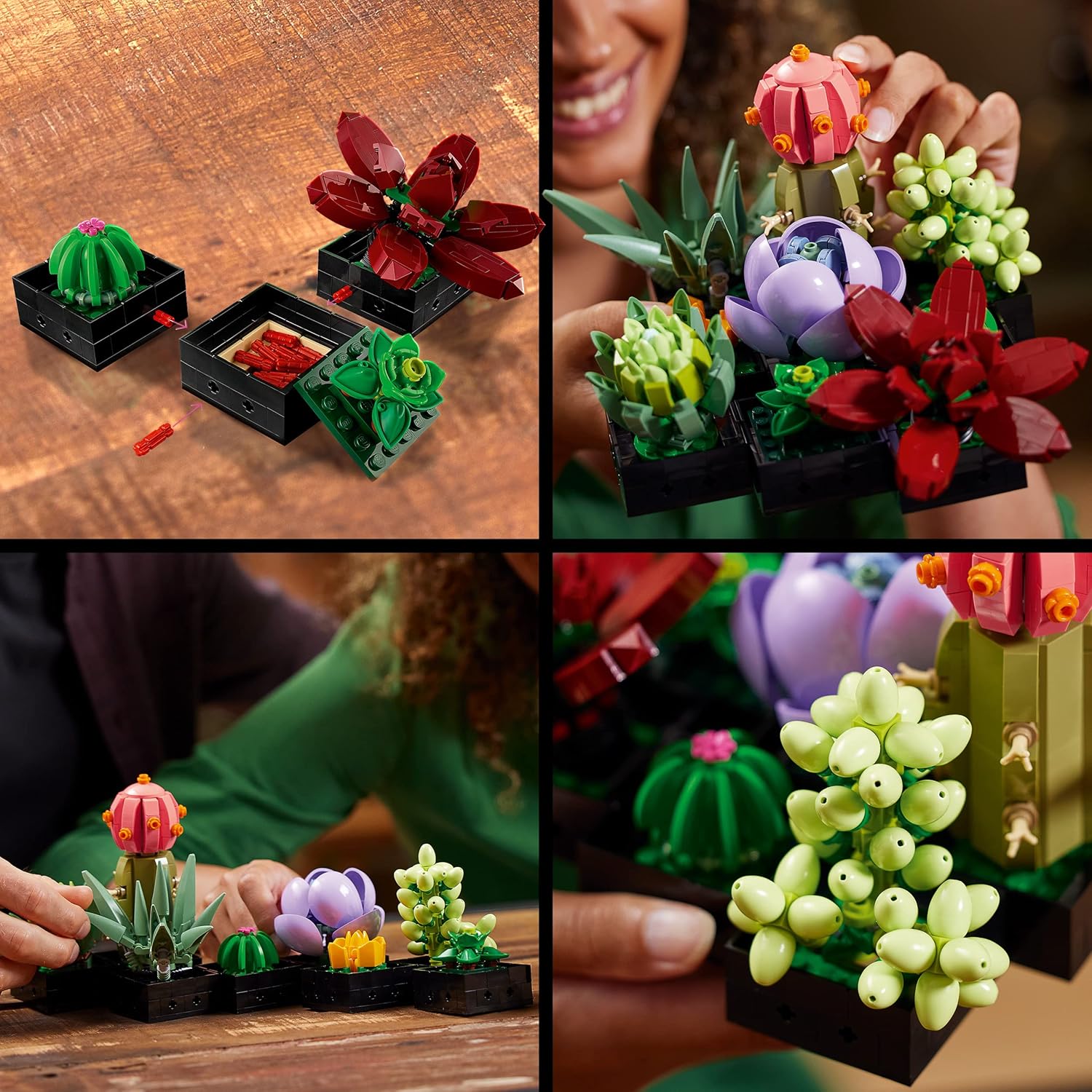 LEGO Botanicals Sukkulenten - Künstliche Blumen Set für Erwachsene - Blumenstrauß Bauset - Kreatives Hobby und Home Deko - Geschenkidee für Frauen & Männer - Botanik Kollektion (9 Pflanzen) 10309 LEGO Botanicals Sukkulenten - Künstliche Blumen Set für Erwachsene - Blumenstrauß Bauset - Kreatives Hobby und Home Deko - Geschenkidee für Frauen & Männer - Botanik Kollektion (9 Pflanzen) 10309