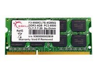 G.Skill 4GB DDR3-1066 SQ MAC Speichermodul 1 x 4 GB 1066 MHz