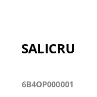 SALICRU USV Rack Rails 19" short (60Kg Max)-480mm to 780mm
