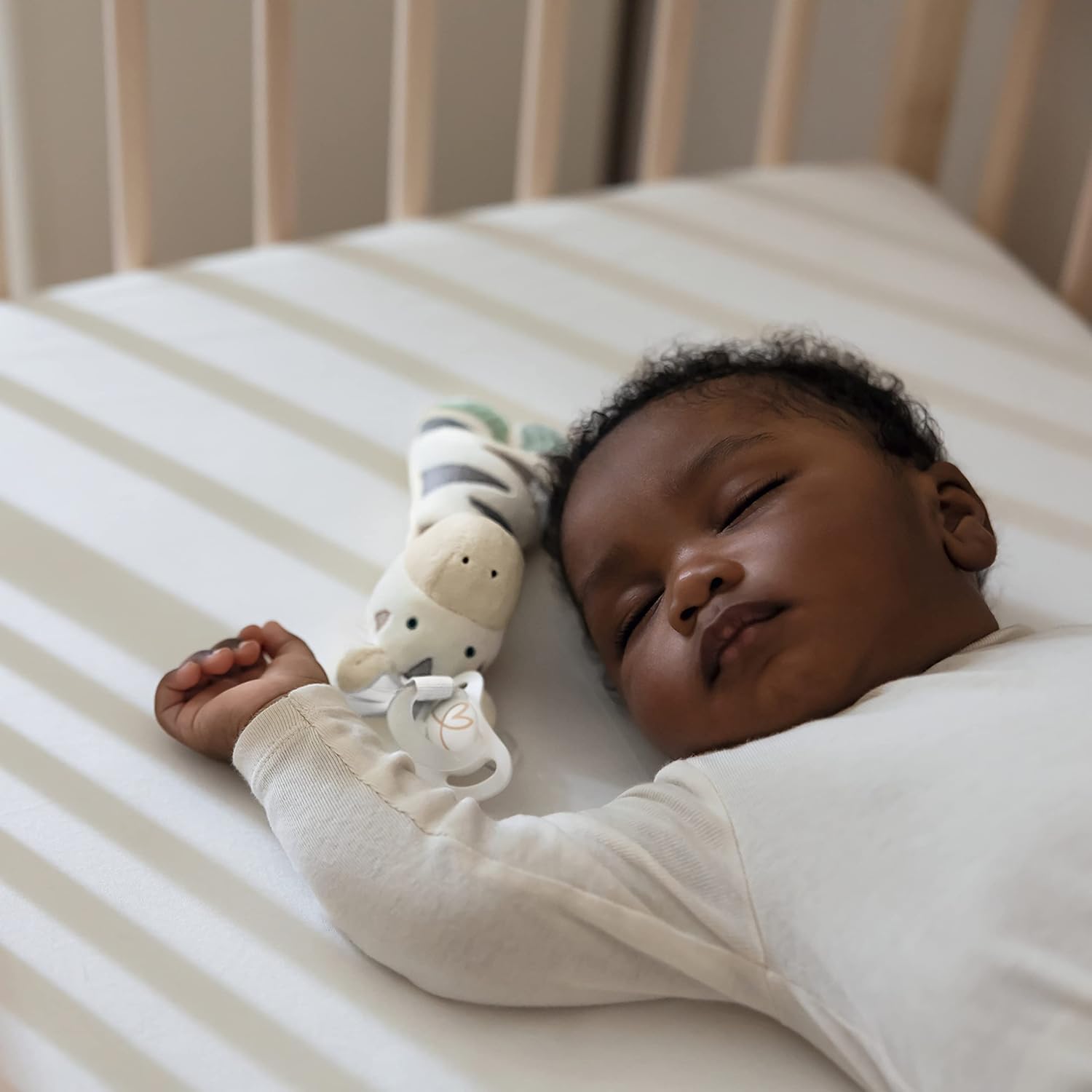 NUK Schnuller Buddy Little Friend Zebra