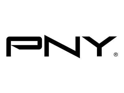 PNY Display-Adapter - Single Link - DisplayPort (M)