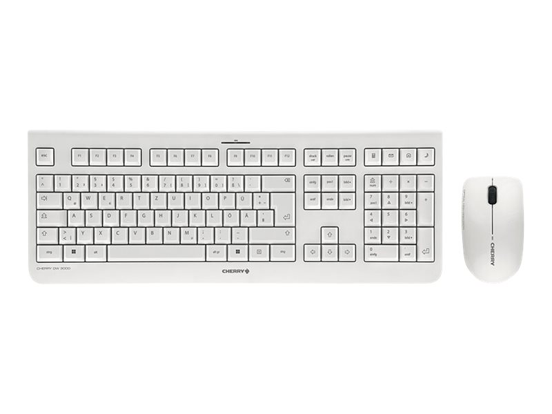 CHERRY DW 3000 Tastatur Maus enthalten Universal RF Wireless QWERTZ Deutsch Grau
