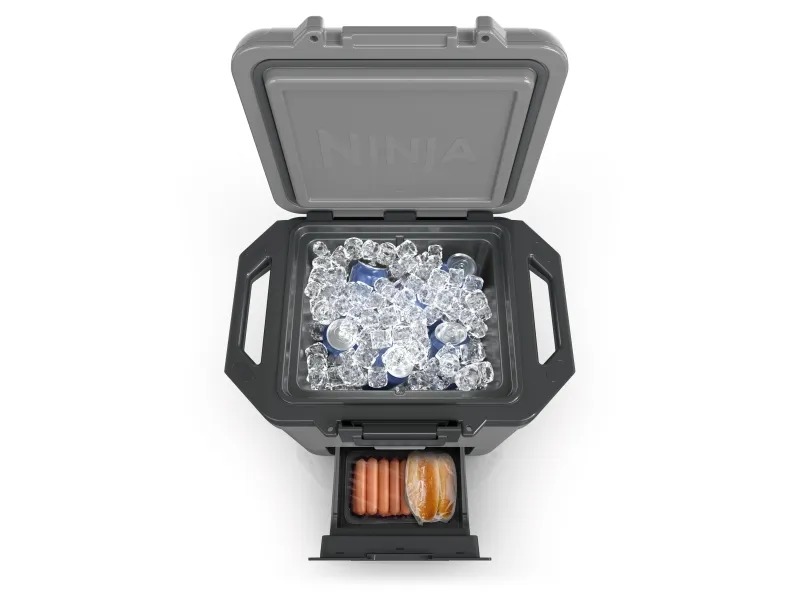 Ninja                   FrostVault 28 L- grau      FB131EU