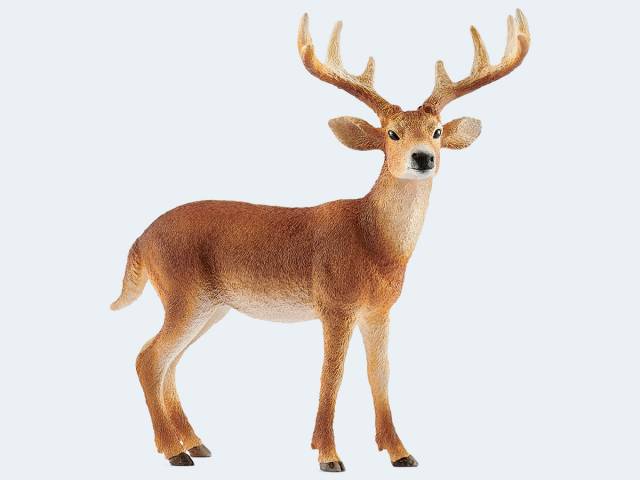 Schleich Wild Life         14818 Weißwedelhirsch