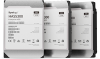 Synology HAS5300-12T Interne Festplatte 12 TB 7200 RPM 256 MB 3.5" SAS