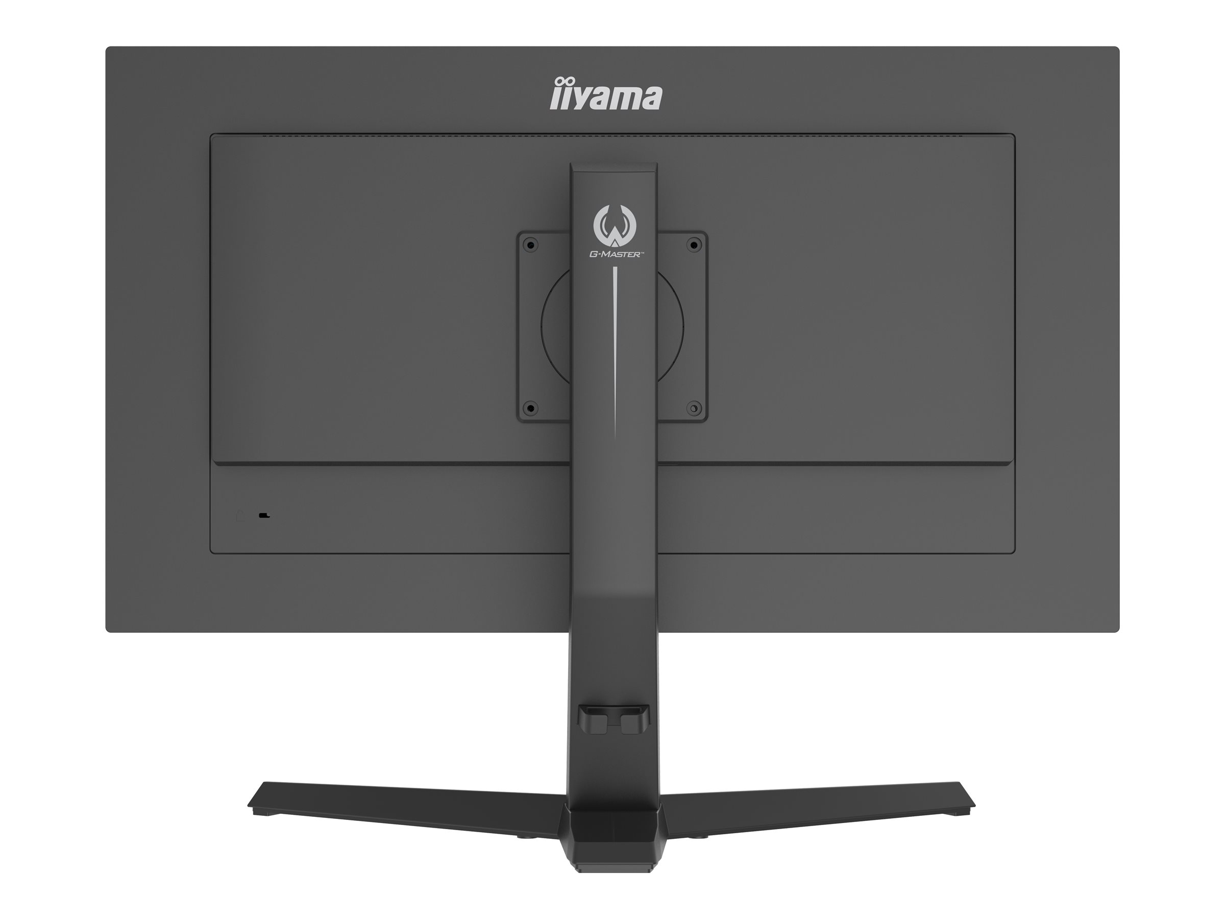 Iiyama G-MASTER GB2870UHSU-B1 - LED-Monitor - 71 cm (28")