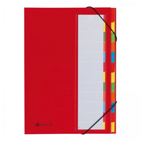 PAGNA Deskorganizer Premium 12 Fächer rot