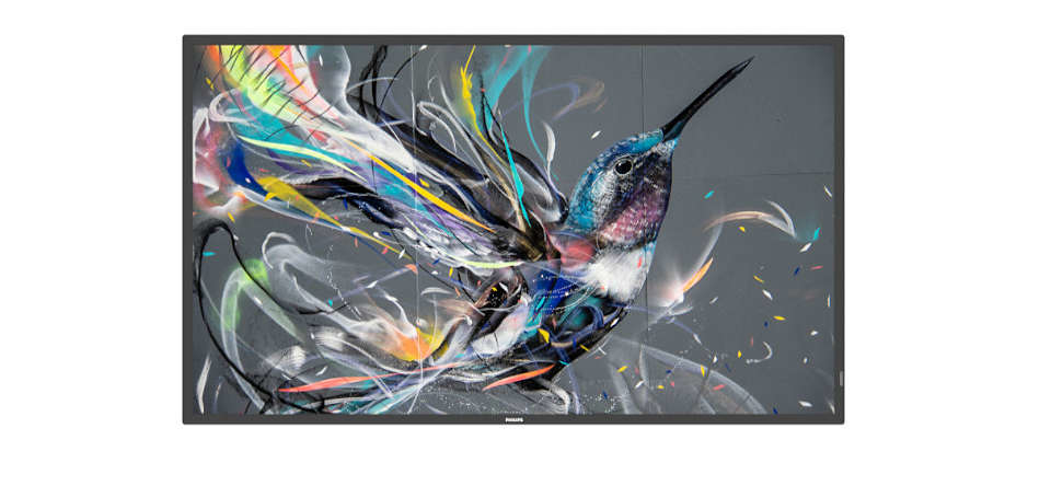Philips 50BDL3511Q - 127 cm (50") Diagonalklasse (125.7 cm (49.5")