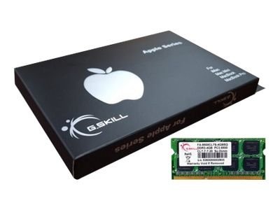 G.Skill 4GB DDR3-1066 SQ MAC Speichermodul 1 x 4 GB 1066 MHz