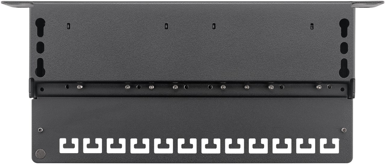 CAT 6 10-Zoll (25,4 cm) Patch Panel, 12-Port, (1 HE)