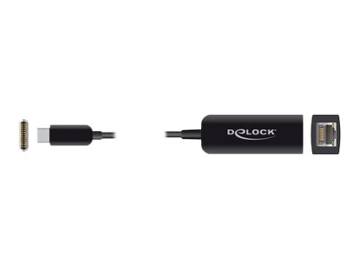 DeLOCK Adapter USB Type-C Stecker zu 2,5 Gigabit LAN kompakt