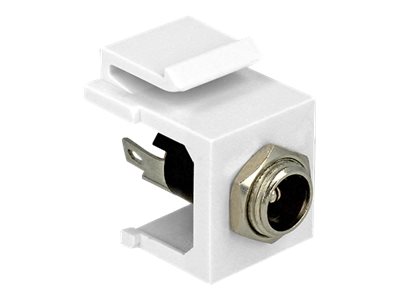 Delock Keystone module - Modulare Eingabe - DC-Stromversorgungsbuchse 5,5 mm (ID: 2,5 mm)