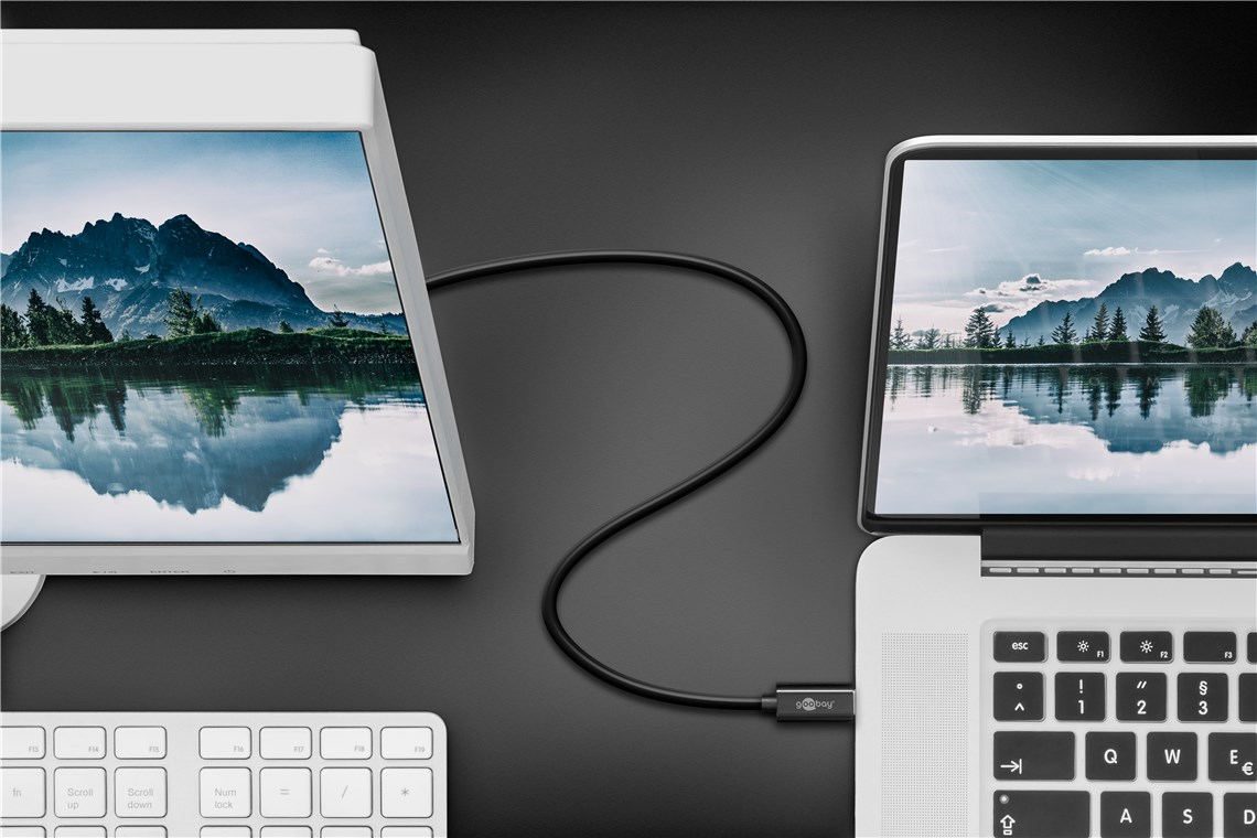 USB-C™- DisplayPort™-Adapterkabel 4K 60 Hz, 1,20 m, schwarz