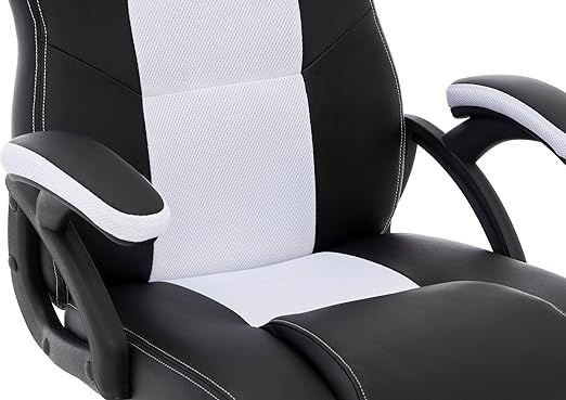 Raptor Gaming Stuhl GS-40 PU + fabric           schwarz/weiß