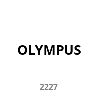 Olympia Mobiltelefon VITUS rot 4G