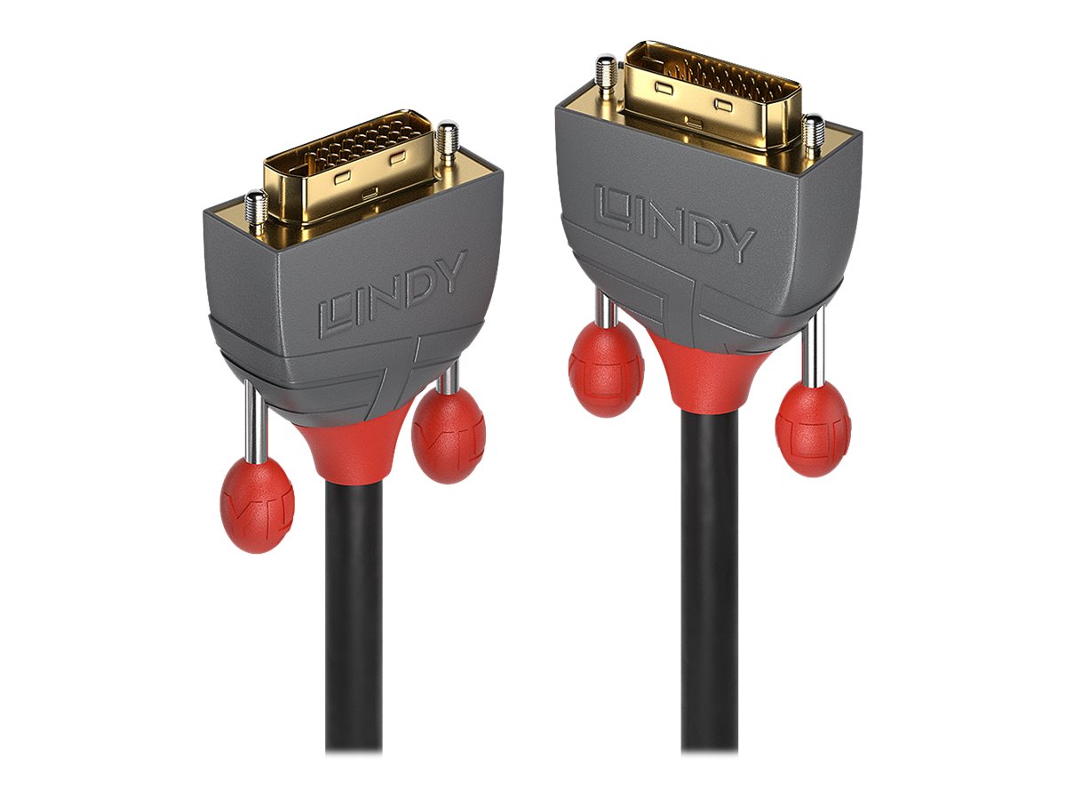 Lindy 36220 DVI-Kabel 0,5 m DVI-D Grau