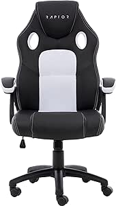 Raptor Gaming Stuhl GS-40 PU + fabric           schwarz/weiß