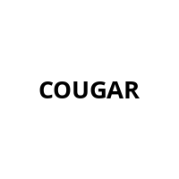 Netzteil Compucase Cougar 350W A350 retail