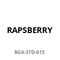 Raspberry Kühlkörper passiv selbstklebend  5 Stück/pcs.