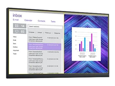 Dell P2222H - Ohne Standfuß - LED-Monitor - 55.9 cm (22")