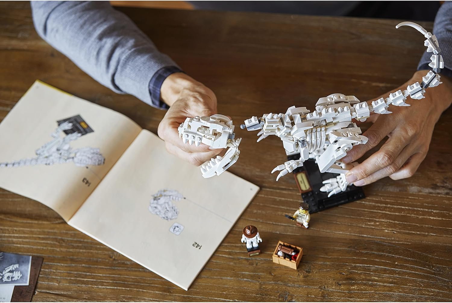 21320 LEGO Ideas - Dinosaurier-Fossilien 21320 LEGO Ideas - Dinosaurier-Fossilien