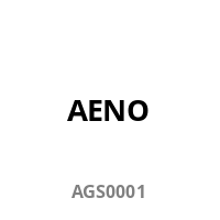 AENO Dampfglätter GS1  160°C/250ml Wassertank           grau retail