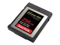 SanDisk SDCFE-256G-GN4NN Speicherkarte 256 GB CFexpress