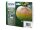 Epson Apple Multipack 4 Farben T1295, DURABrite Ultra Ink