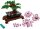 LEGO Botanicals Bonsai Baum Set für Erwachsene - Pflanzen Home Deko Set - DIY Projekt und entspannende kreative Aktivität - Geschenkidee für Frauen und Männer - Botanik Kollektion 10281