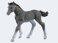 Schleich Horse Club     13944 Trakehner Fohlen